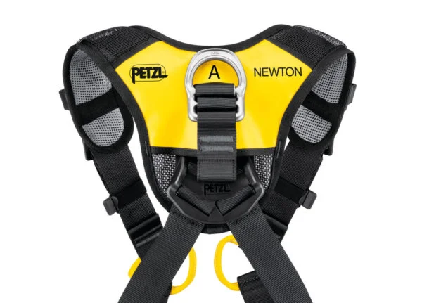 NEWTON FAST International Version - Image 4
