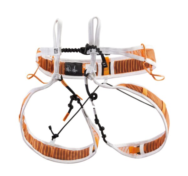 FLY - Image 7