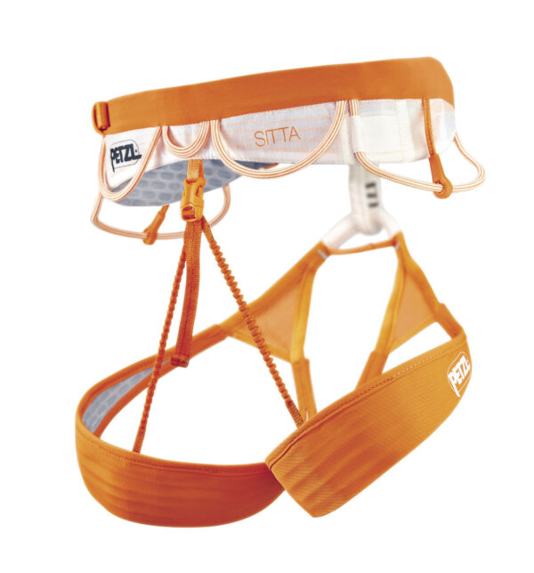 SITTA - Image 2