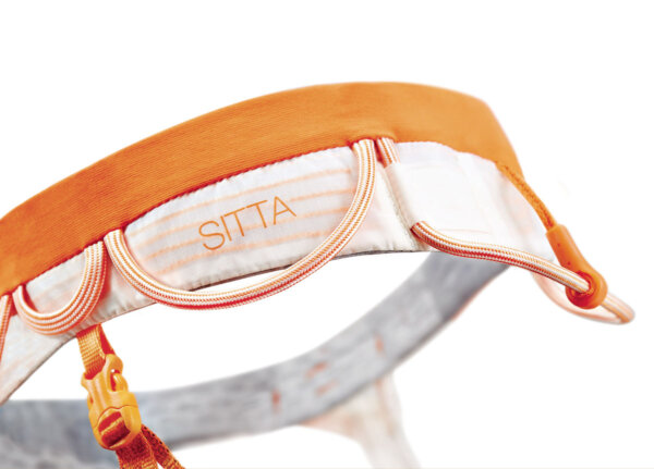 SITTA - Image 3
