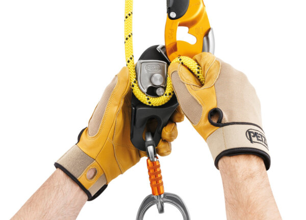 RIG® - Image 3