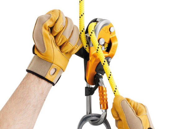 RIG® - Image 4