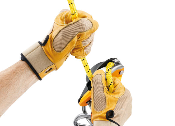 RIG® - Image 6