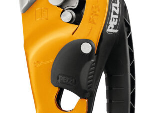 RIG®