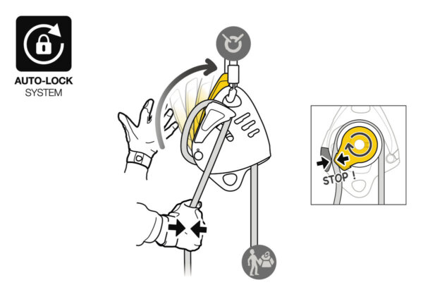 MAESTRO® L - Image 6