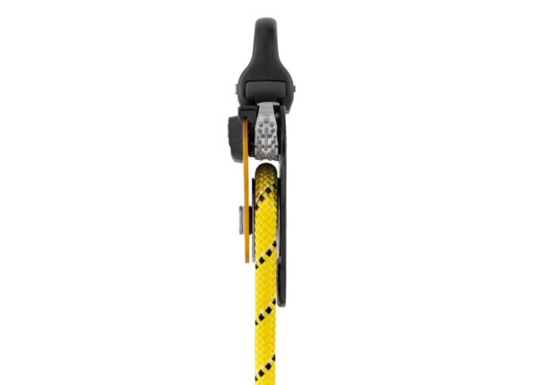 PRO TRAXION - Image 6